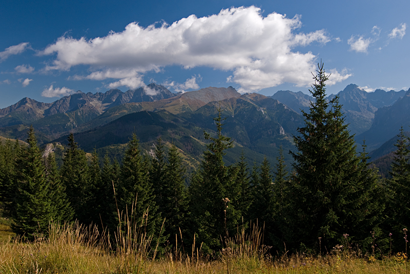 23_Tatry_widok z Gesiej Szyi na Tatry Wysokie.jpg